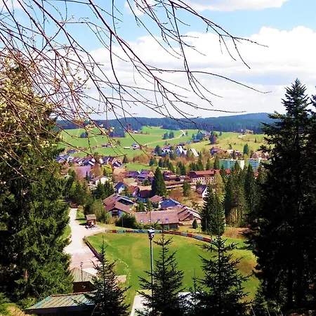 Apartment Atelier Probst Schoenwald im Schwarzwald