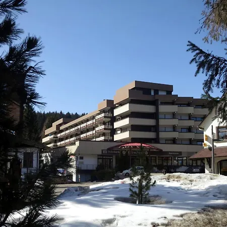 Atelier Probst * Schönwalde