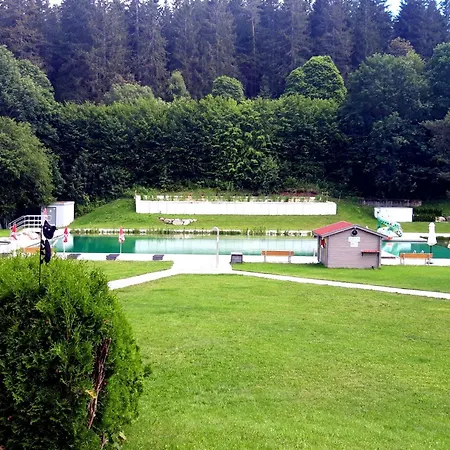 Apartment Atelier Probst Schoenwald im Schwarzwald